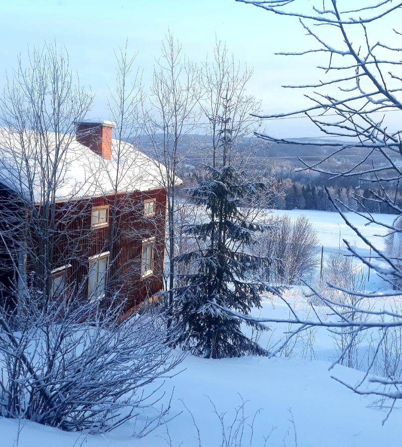 Cozy Stuga - Mountain View Ramsele Екстер'єр фото