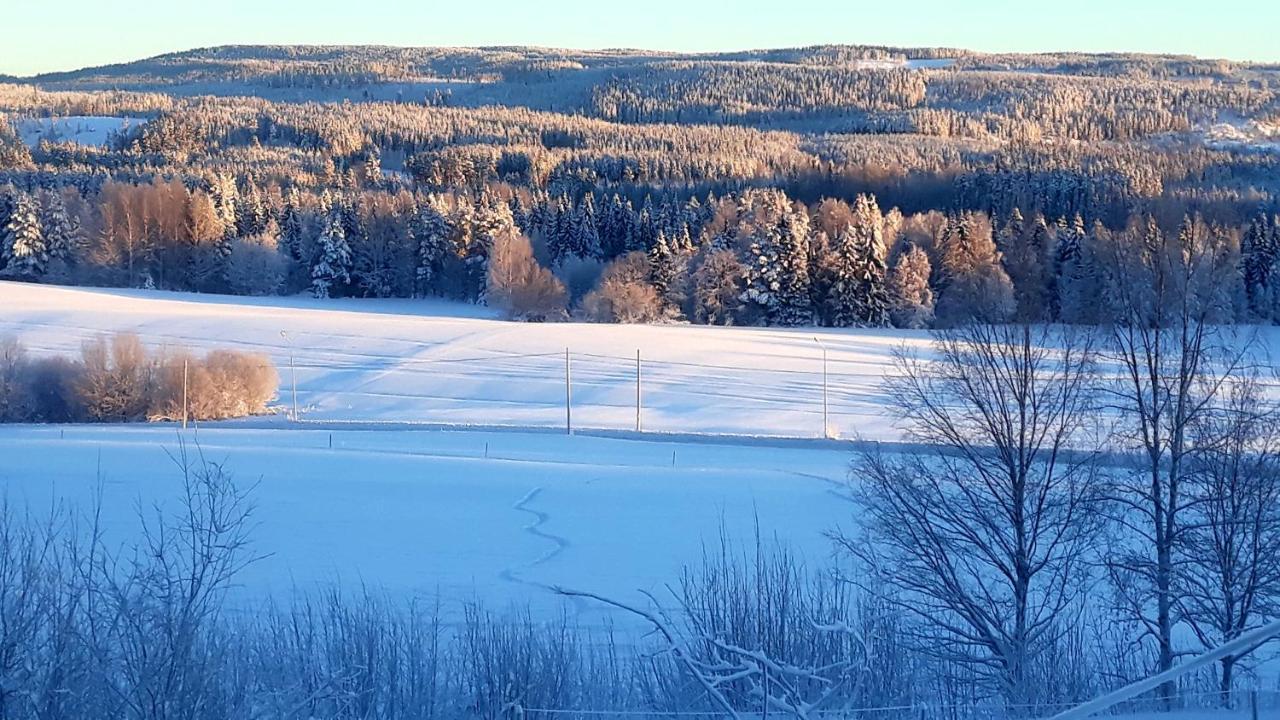 Cozy Stuga - Mountain View Ramsele Екстер'єр фото