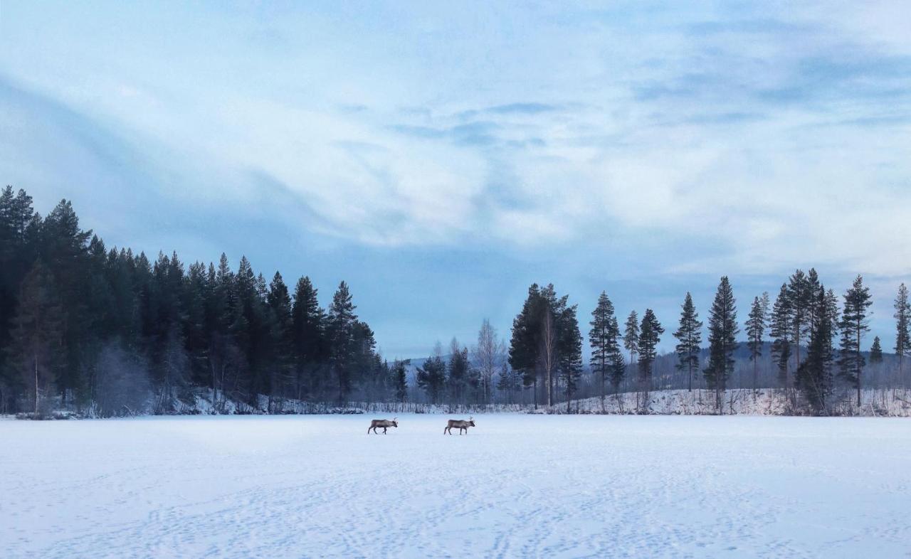 Cozy Stuga - Mountain View Ramsele Екстер'єр фото