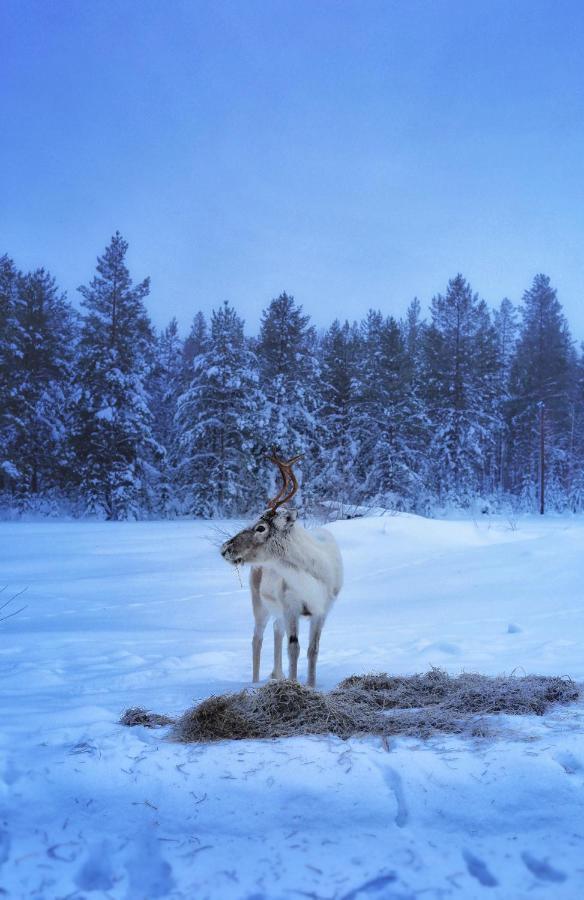 Cozy Stuga - Mountain View Ramsele Екстер'єр фото