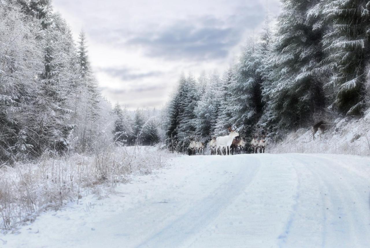 Cozy Stuga - Mountain View Ramsele Екстер'єр фото