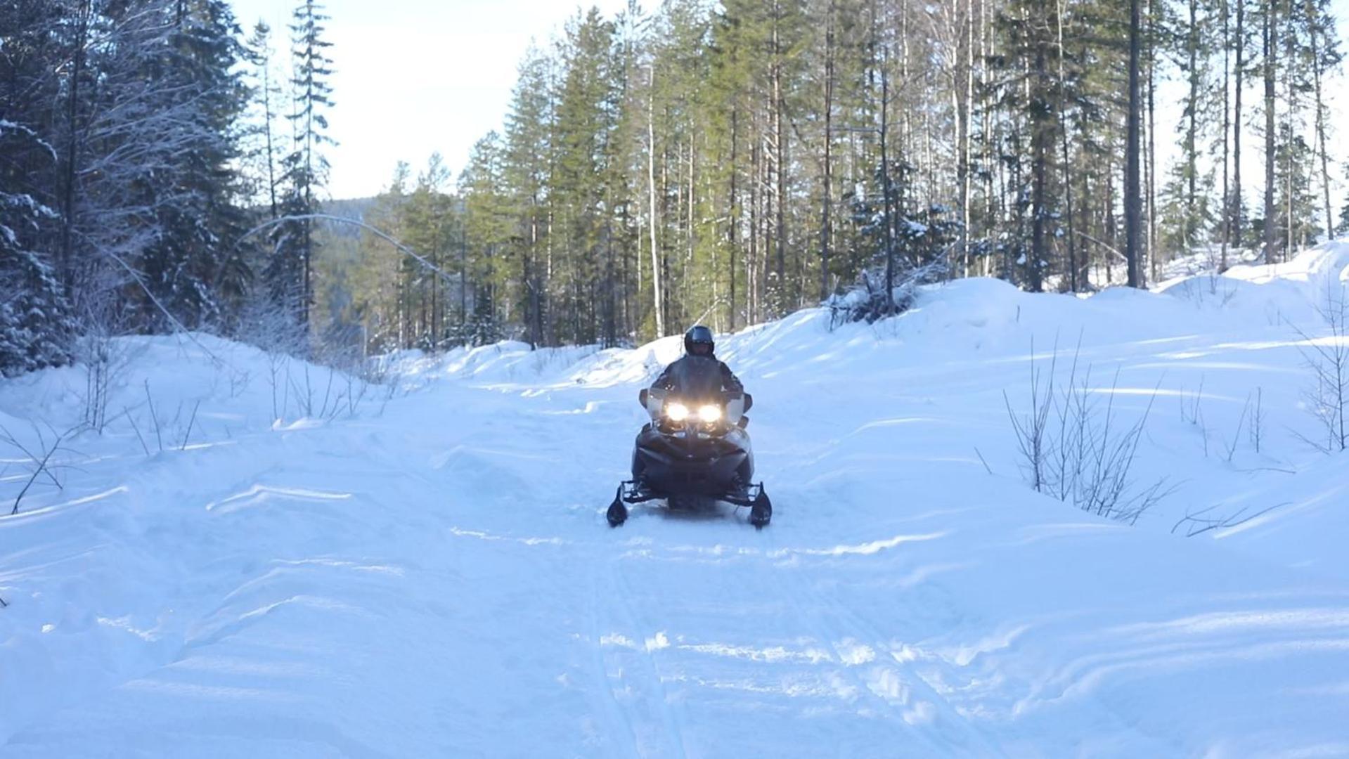 Cozy Stuga - Mountain View Ramsele Екстер'єр фото
